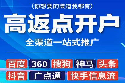 从小白到高手：百度竞价赚钱全记录